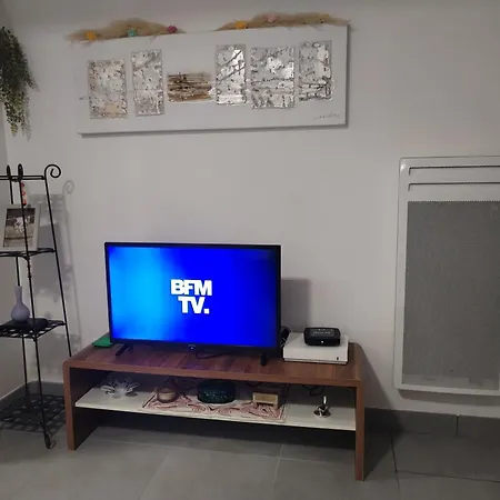 Magistic Handi Apartament Perpignan