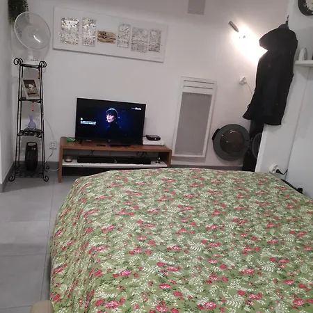 Magistic Handi Apartment *