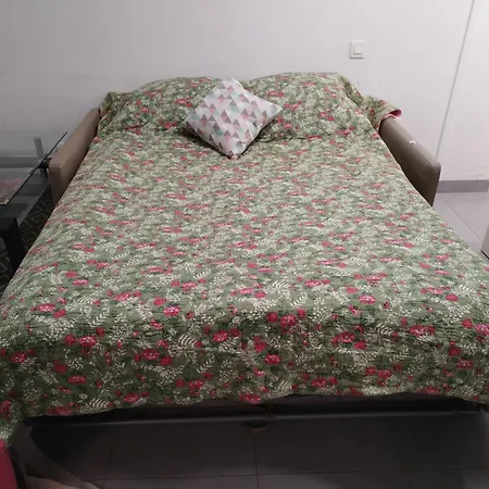Magistic Handi Apartament *